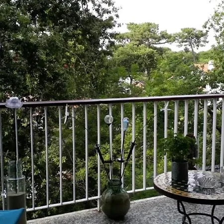 Apartment Appartement Arcachon