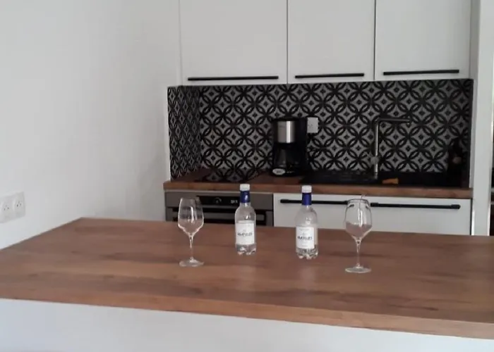 Appartement Arcachon Apartment